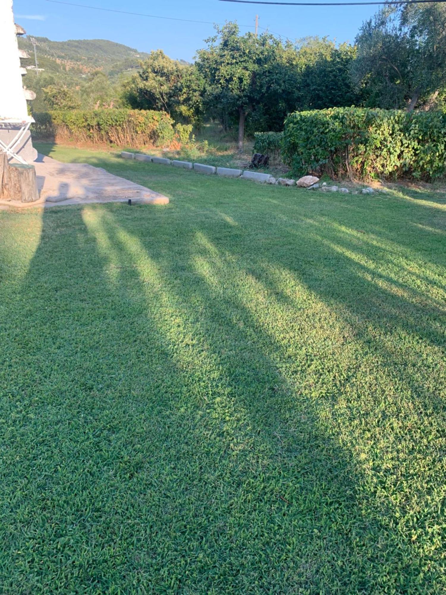 Villa Casa Colonica Di Campagna Come Era Una Volta Peschici Exterior foto