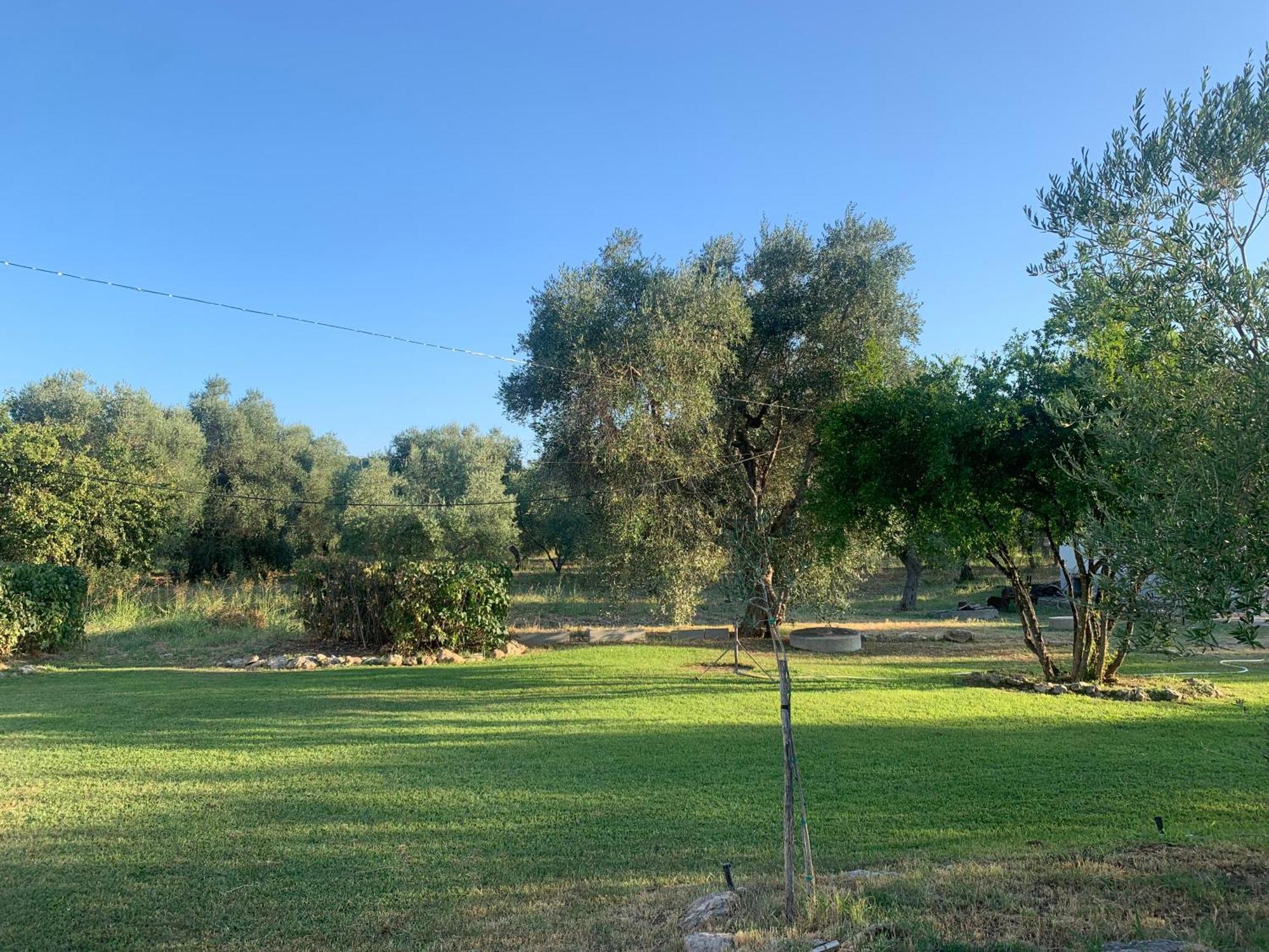 Villa Casa Colonica Di Campagna Come Era Una Volta Peschici Exterior foto